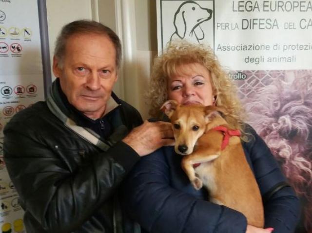 Auguri Toby!
